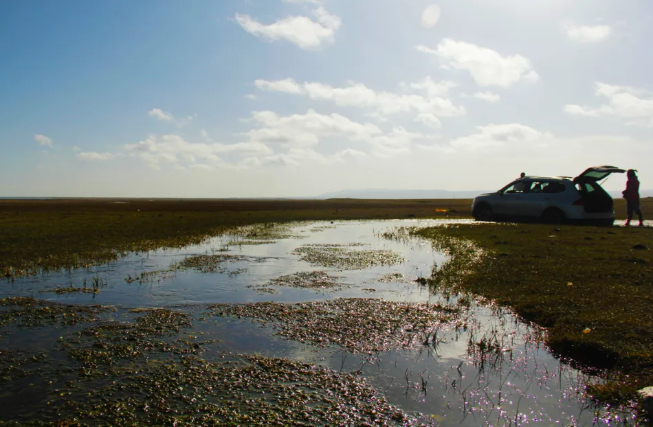 请输入图片描述