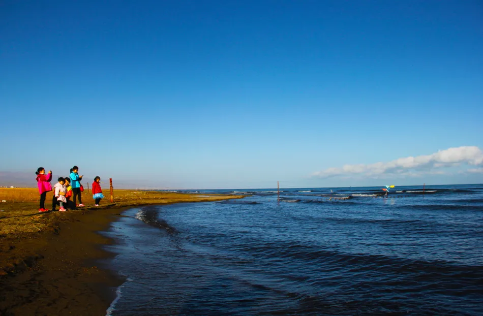 请输入图片描述